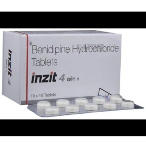Inzit